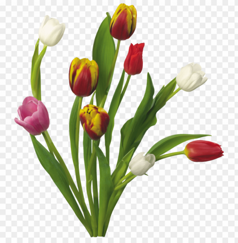 spring PNG free transparent PNG transparent with Clear Background ID 1273af3a