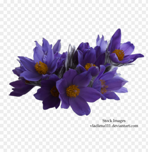 spring PNG Graphic Isolated with Clarity PNG transparent with Clear Background ID c624b14c