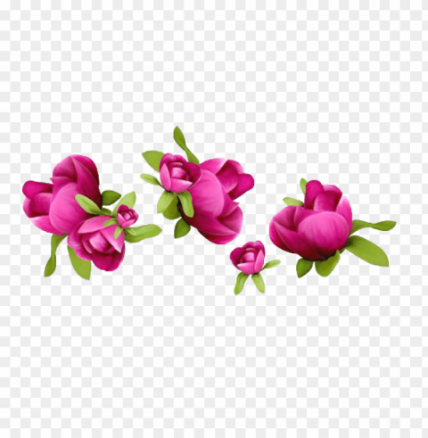 spring PNG images with clear alpha layer