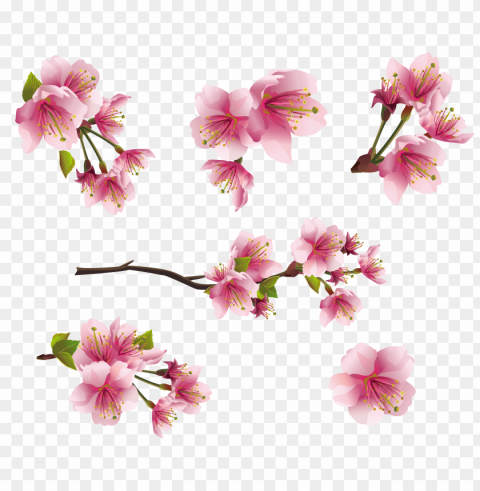 spring PNG images with clear background