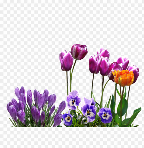 spring season PNG files with no backdrop wide compilation PNG transparent with Clear Background ID 1af4ab3c