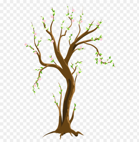 Spring Tree Clear PNG Image