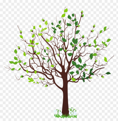 spring tree Clear PNG images free download