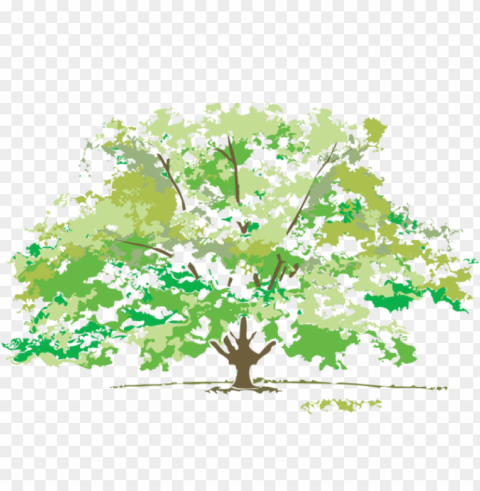 spring tree ClearCut Background PNG Isolated Item
