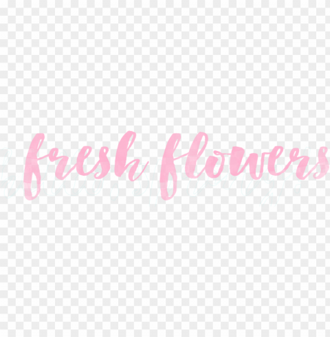 spring watercolor overlays fresh flowers pink - world's best brother shower curtai High-resolution PNG