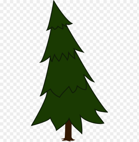 spruce fir tree evergreen conifer tree forest - spruce tree clip art PNG Image with Isolated Element