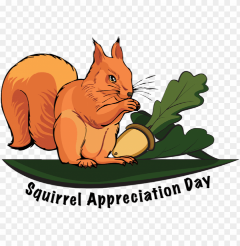 squirrel appreciation day 2017 PNG files with clear backdrop assortment