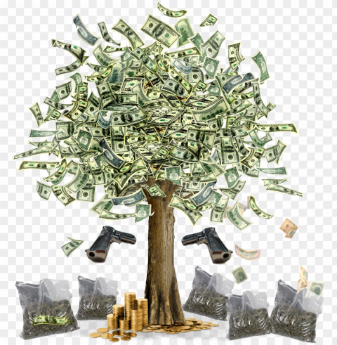 sss - money tree images hd Clear image PNG PNG transparent with Clear Background ID 1762c79b