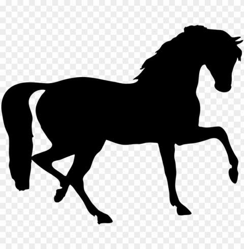 stallion clipart transparent - horse silhouette Clear Background Isolated PNG Object