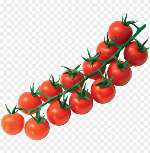 standard cherry on the vine - plum tomato Transparent PNG artworks for creativity