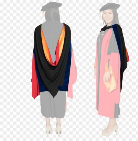 stanford university doctoral hood - academic dress PNG files with transparency