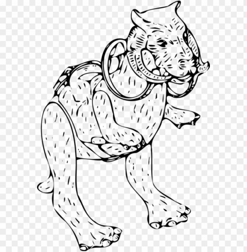 star wars animals coloring pages PNG Image Isolated with HighQuality Clarity