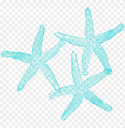 starfish clip art at clker - coral clipart background PNG transparent graphics comprehensive assortment