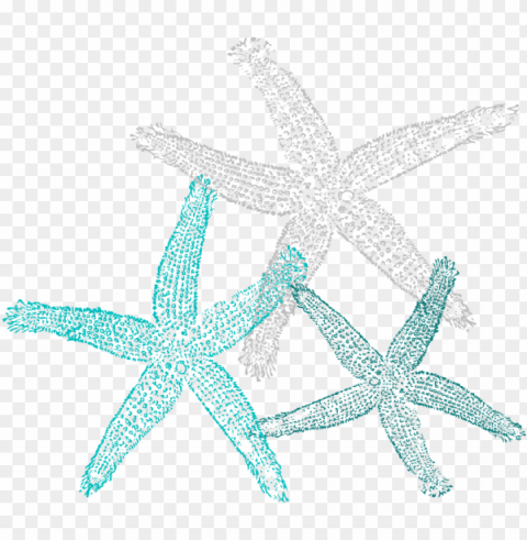 starfish clipart teal PNG Graphic with Isolated Transparency