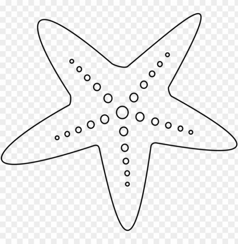starfish color a sea star echinoderm - star fish clipart black and white Clean Background Isolated PNG Graphic
