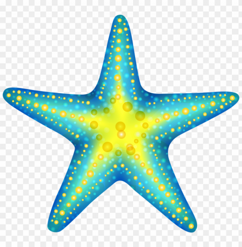 starfish Transparent Background Isolation of PNG