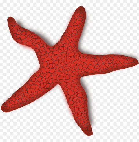starfish Transparent background PNG images complete pack