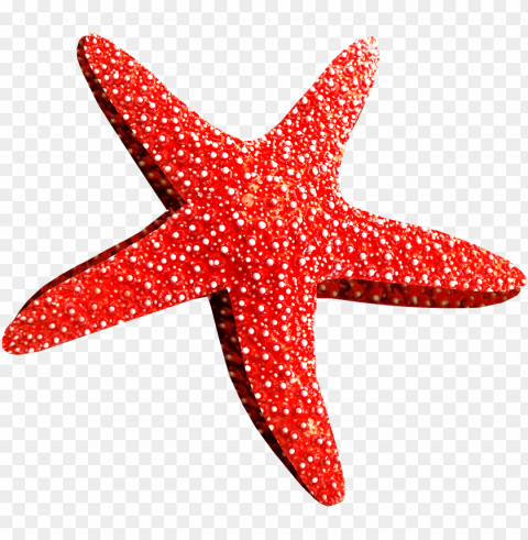 starfish Transparent Background PNG Isolated Character PNG transparent with Clear Background ID 72c8e640