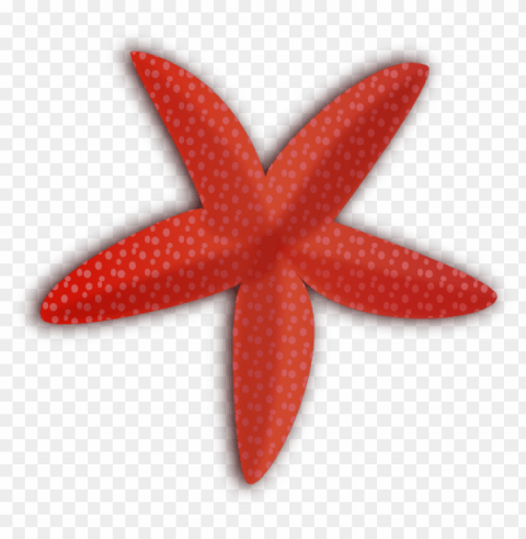 starfish Transparent Background PNG Isolated Design