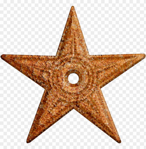 starfish Transparent Background PNG Object Isolation