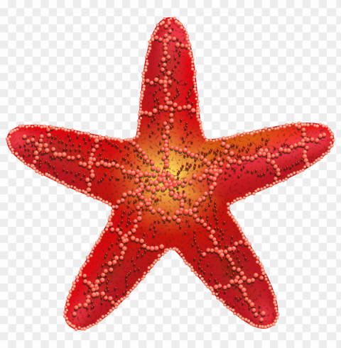 starfish Transparent background PNG stockpile assortment PNG transparent with Clear Background ID 6034c9f2