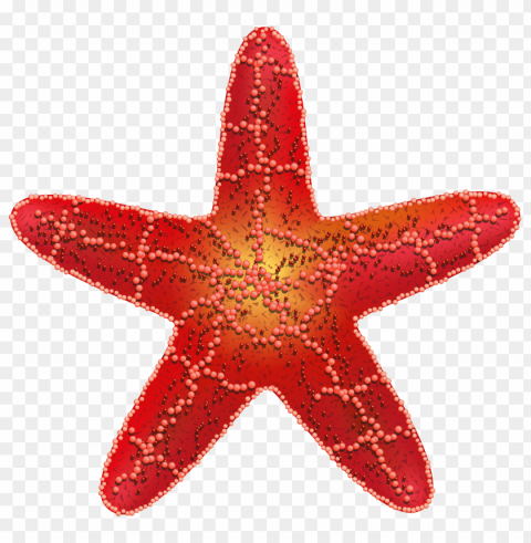 Starfish Transparent Background PNG Stockpile Assortment