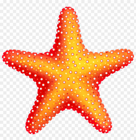 starfish Transparent graphics PNG