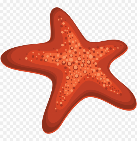Starfish Transparent PNG Graphics Archive