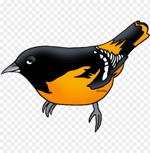 state bird for maryland Transparent PNG image