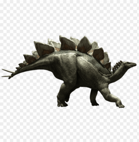 stegosaurus PNG images with high transparency