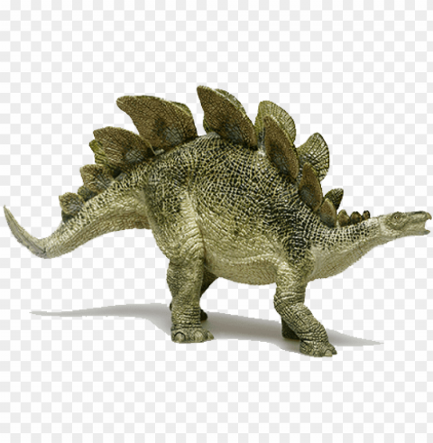stegosaurus - dinosaur from jurassic period Clear Background PNG Isolated Design Element