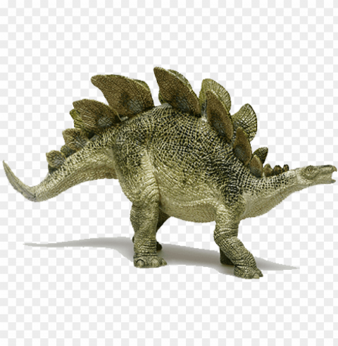 Stegosaurus - Dinosaur From Jurassic Period Clear Background PNG Isolated Design Element