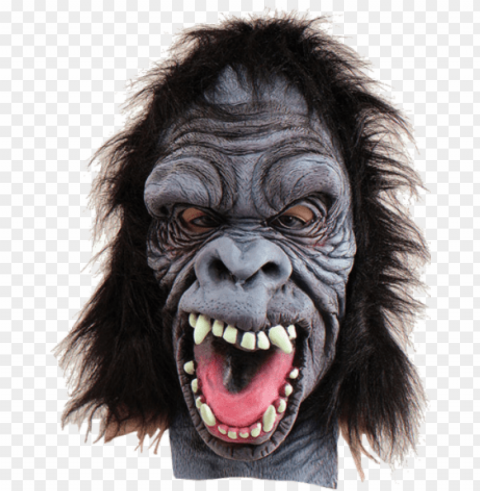 stereotypical angry gorilla mask - gorilla mask overhead animals fancy dress masks Transparent PNG images with high resolution