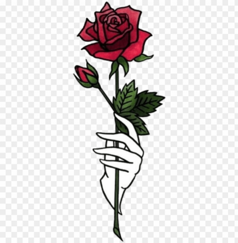 sticker hand hands tumblr aesthetic flower rose - shawol rose Isolated Icon in Transparent PNG Format