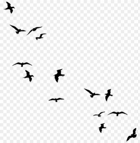 stock black flying birds by jassy2012 on deviantart - flying away birds silhouette PNG graphics with alpha channel pack