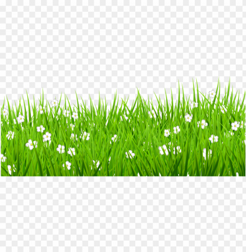 stock grass background clipart - grass with flowers PNG transparent design