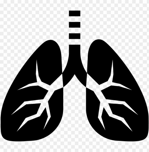 stock icon free and this picture - lungs icon Isolated PNG Item in HighResolution