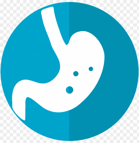 stomach icon 2316627 480 - dạ dày icon PNG images with alpha background