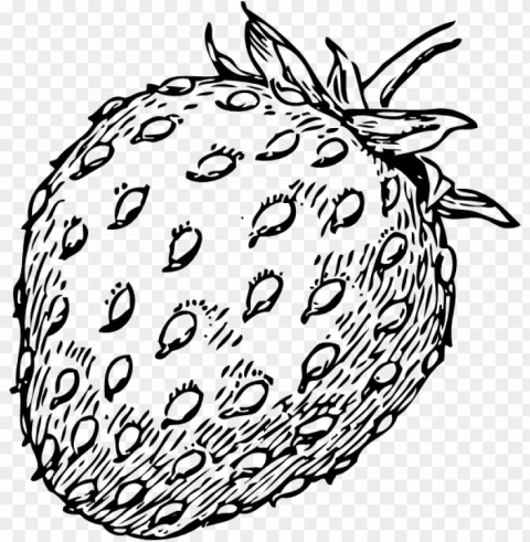 strawberry drawing Transparent Background Isolation in PNG Image