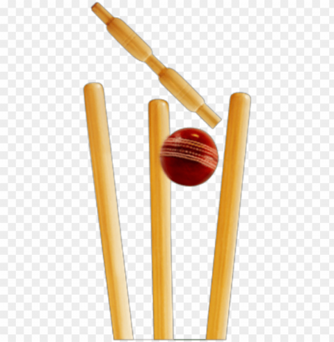 stumps - cricket ball and stumps Clear PNG graphics free