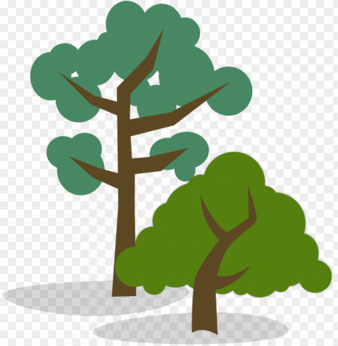 stylized illustration of one tall and one short tree - tall tree short tree Transparent background PNG stock