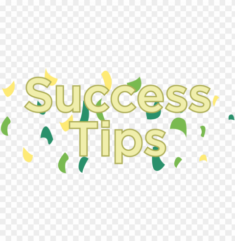 success kid PNG pictures with no background required