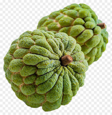 sugar apple image transparent - custard apple fruit Clear Background PNG Isolated Graphic