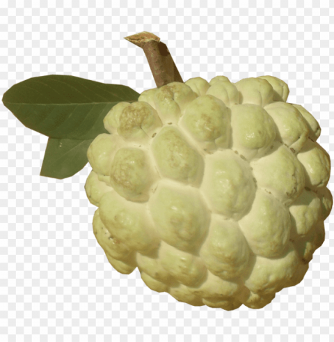 sugar apple picture - nmk1 custard apple Clear background PNG images diverse assortment