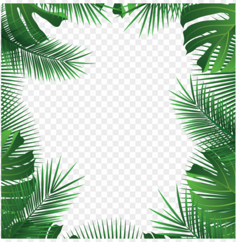 summer beach tropical leaves frame summer leaves - tropical frame Clear pics PNG