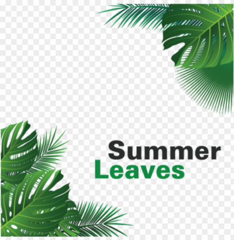 summer tropical leaves hanging summer leaves tropical - portable network graphics PNG transparent vectors