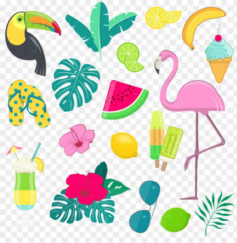 summer vector - vector graphics Isolated Illustration on Transparent PNG
