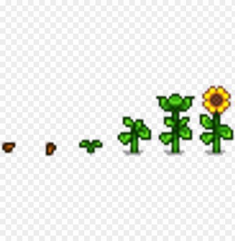 sun flower g - stardew valley flower HighQuality Transparent PNG Isolated Element Detail
