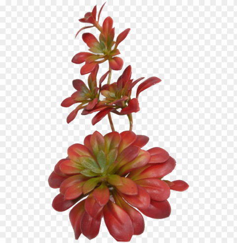 sun kissed succulent pick - artificial flower PNG images alpha transparency