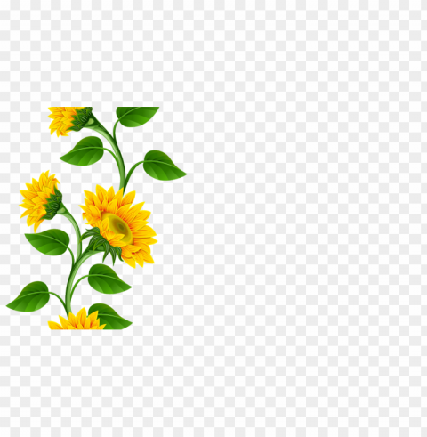 Sunflower Border PNG For Use